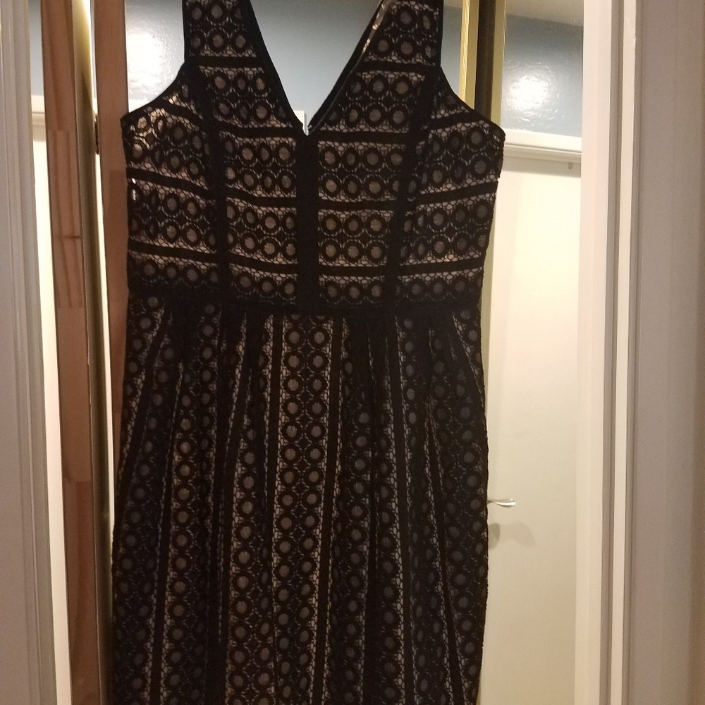 Loft lace overlay black dress